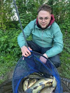 Tench