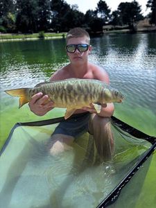 Mirror Carp