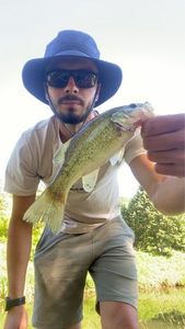 Smallmouth Bass