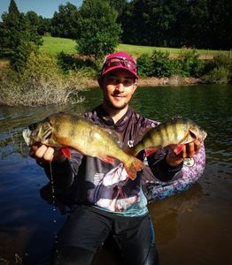 European Perch