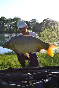 Leather Carp