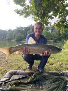Grass Carp