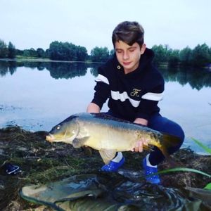 Mirror Carp