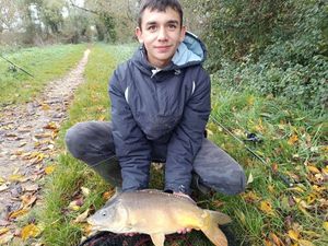 Mirror Carp