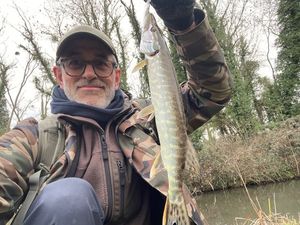 Northern Pike