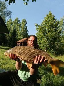 Common Carp