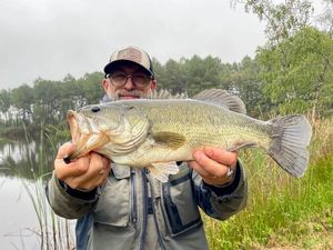 Smallmouth Bass