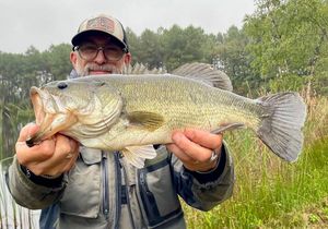 Achigan à Petite Bouche (Black-Bass)