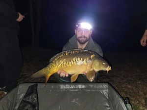 Mirror Carp