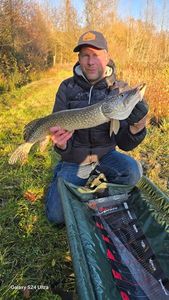 Northern Pike