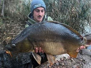 Mirror Carp