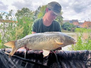 Mirror Carp