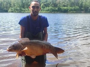 Mirror Carp