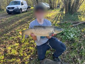 Grass Carp