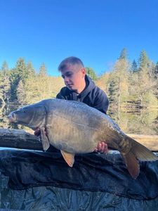Mirror Carp