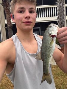 Smallmouth Bass