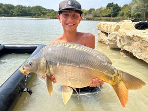 Mirror Carp