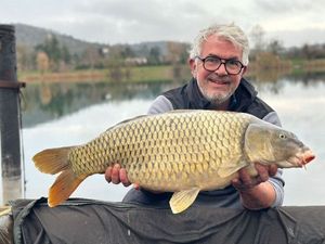 Common Carp