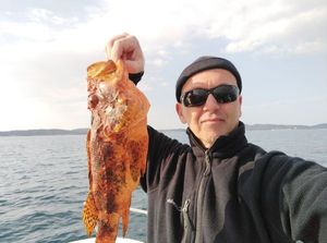 Red Scorpionfish