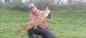Northern Pike