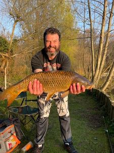 Common Carp