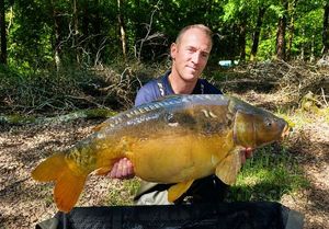 Mirror Carp