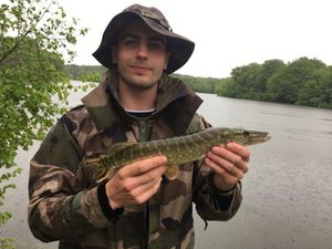 Northern Pike