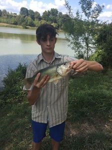 Smallmouth Bass