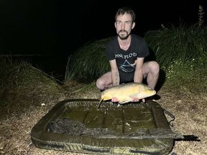 Mirror Carp