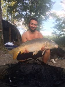 Mirror Carp