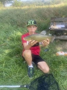 Tench