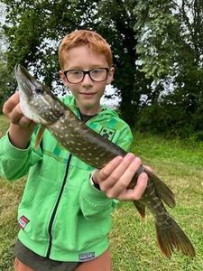 Northern Pike