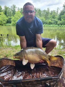 Mirror Carp