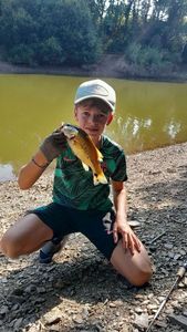 Largemouth Bass