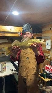 Walleye