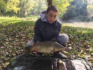Common Carp