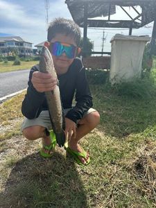 Snakehead
