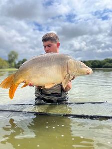 Mirror Carp
