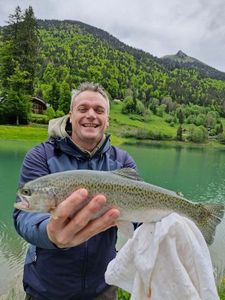 Rainbow Trout