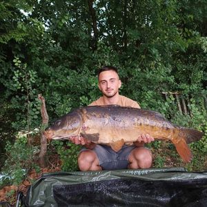 Mirror Carp