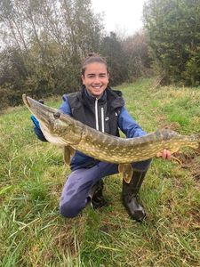Northern Pike