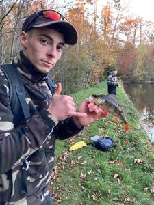 European Perch