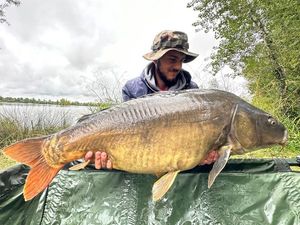 Leather Carp