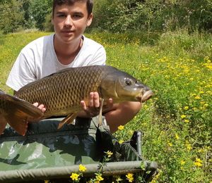 Common Carp