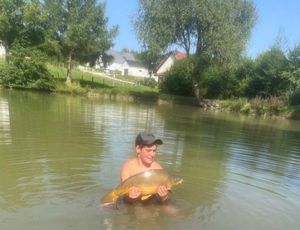 Mirror Carp