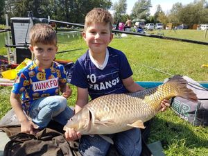 Common Carp