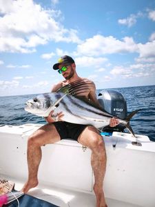 Roosterfish