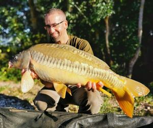 Mirror Carp