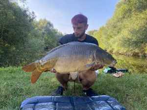 Mirror Carp