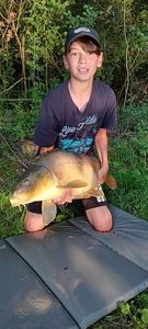 Mirror Carp